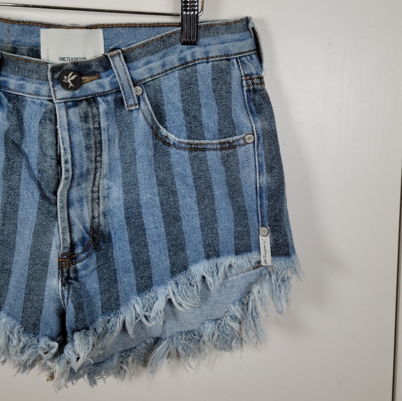 One Teaspoon Zephyr Outlaws Button Fly Pinstripe Shorts Size 24 - Picture 2 of 11